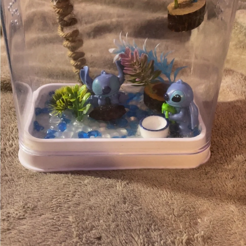 Custom jumping spiders enclosure
